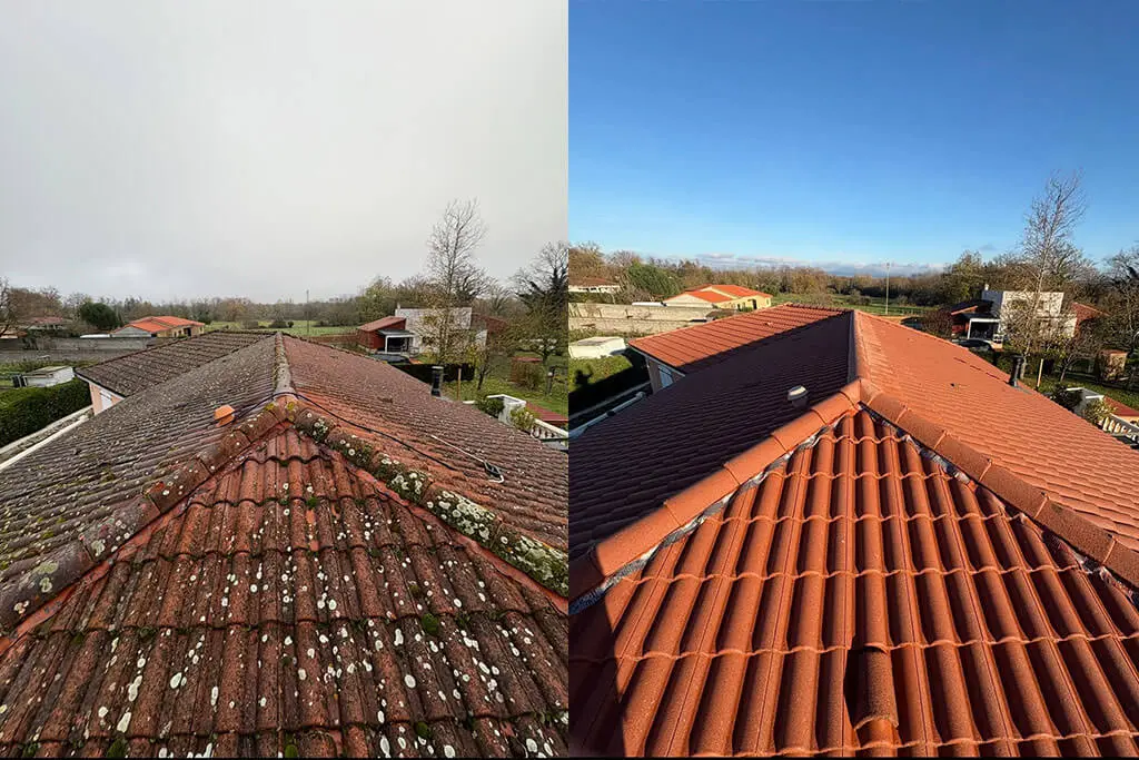 Nettoyage et démoussage de toiture dans le Puy-de-Dôme
